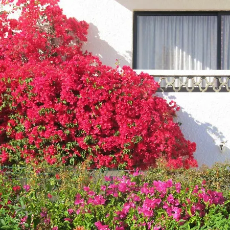公寓 Garden Luz House *